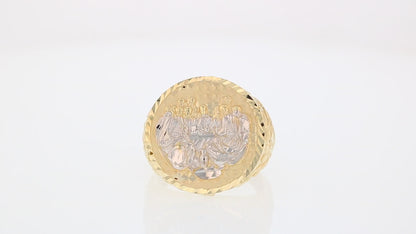 360 degree view of ring.